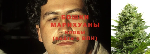 apvp Бородино