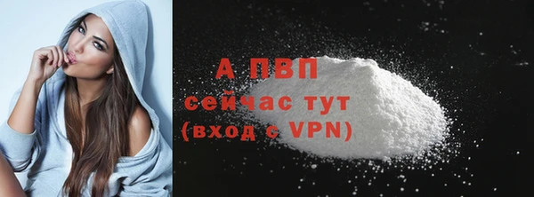 apvp Бородино