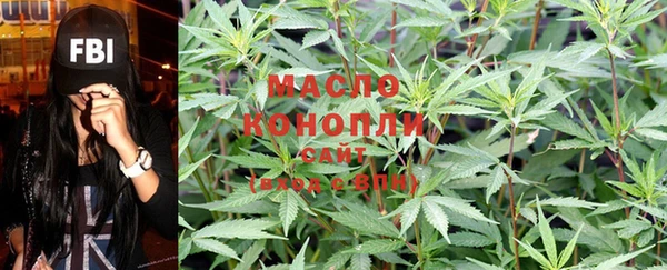 apvp Бородино