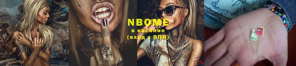 индика Бронницы