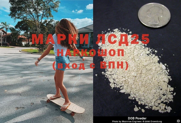 индика Бронницы