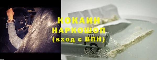 индика Бронницы