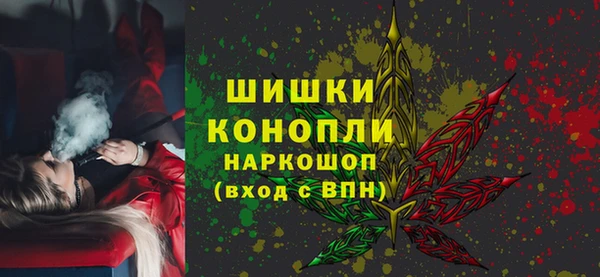 индика Бронницы