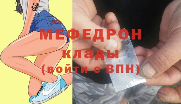 индика Бронницы