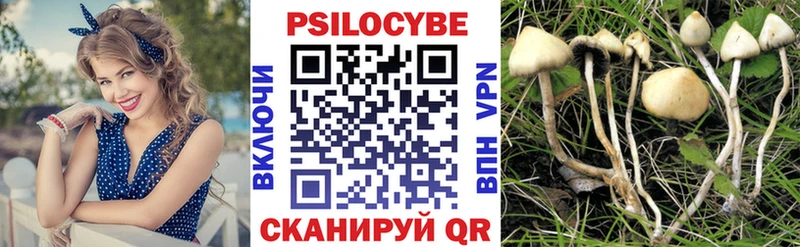 Галлюциногенные грибы Psilocybe  закладка  дарк нет официальный сайт  Ставрополь 